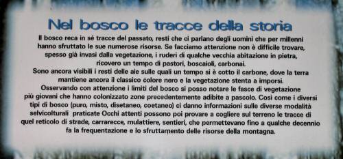 Pian Cansiglio - Foresta del Cansiglio