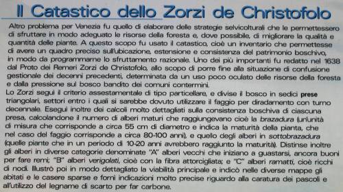 Pian Cansiglio - Foresta del Cansiglio