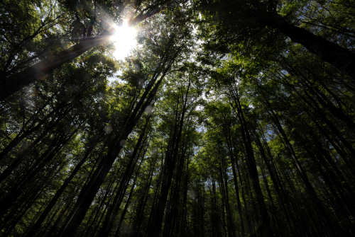 Vallorch passeggiata Pizzoch Millifret Col dela Feda Strada Taffarel