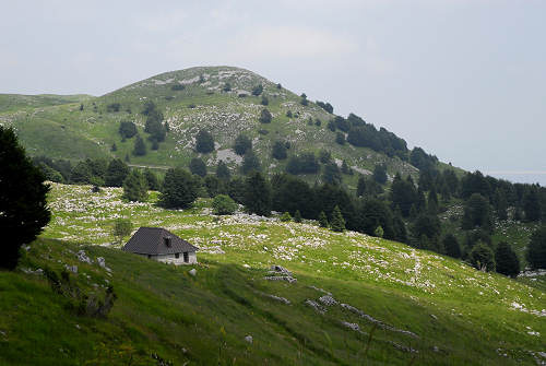 passeggiata delle malghe al Piancavallo