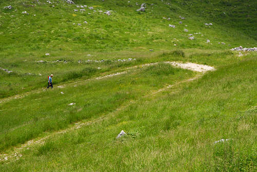 passeggiata delle malghe al Piancavallo