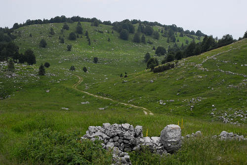 passeggiata delle malghe al Piancavallo