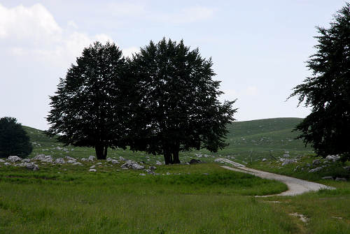 passeggiata delle malghe al Piancavallo