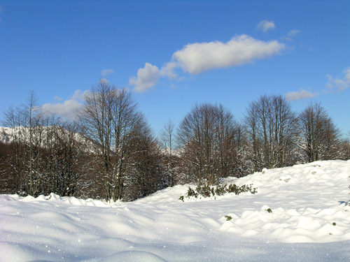 sentiero delle malghe al Piancavallo