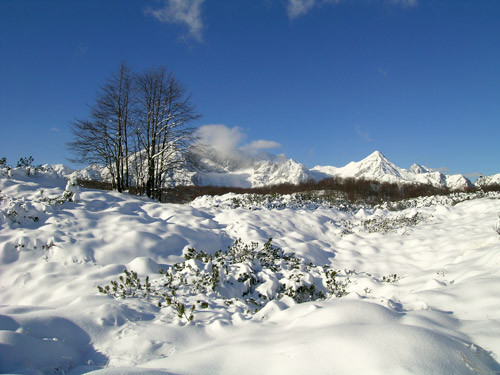 sentiero delle malghe al Piancavallo