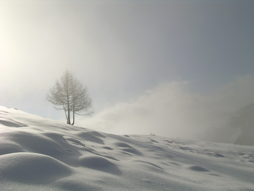 sentiero delle malghe al Piancavallo
