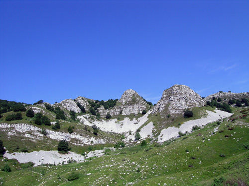 Pala d'Altei - Cansiglio