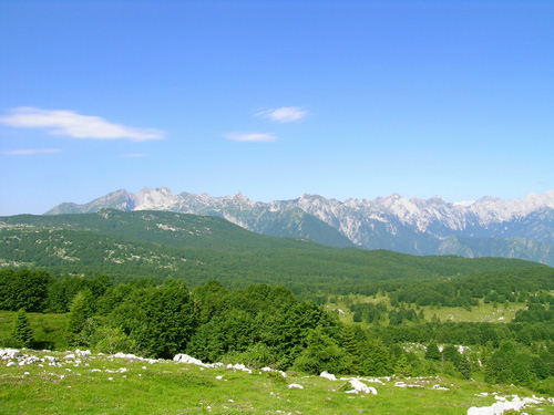 Pala d'Altei - Cansiglio