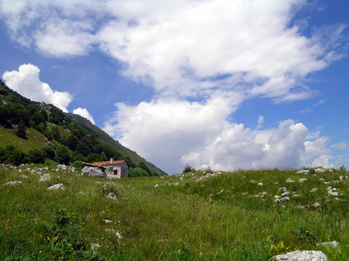 Casera Rupeit - Cansiglio