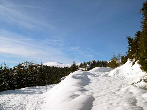 tra Pian Cavallo e Pian Cansiglio