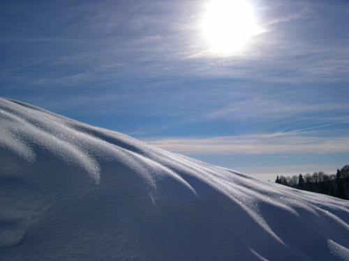 tra Pian Cavallo e Pian Cansiglio