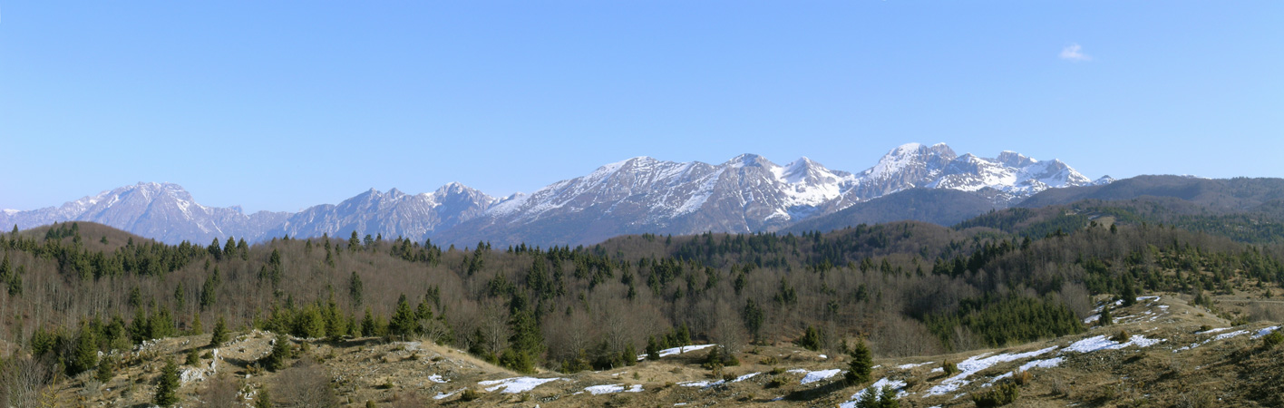 Col dei S'Cios, Cansiglio Cavallo, prealpi Friulane