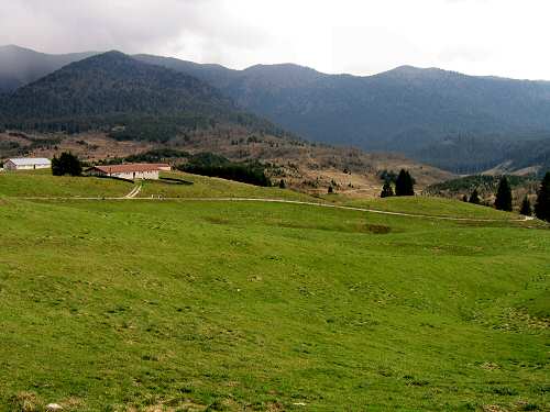 autunno in Valmenera nella Piana del Cansiglio