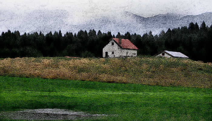 foresta del Cansiglio