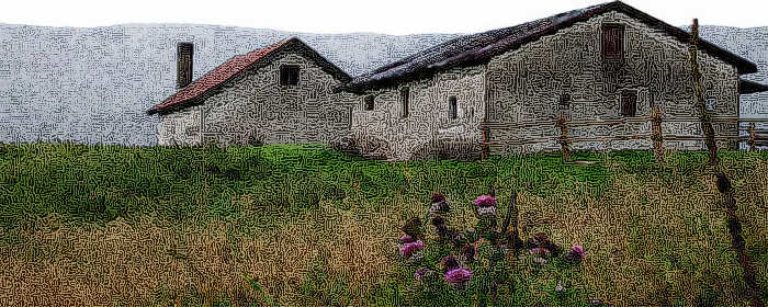 Alpago Cansiglio Cavallo