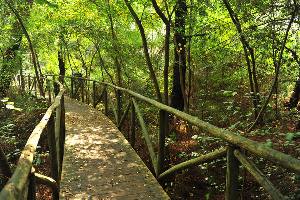 Giardino Botanico Litoraneo di POrto Caleri a Rosolina Mare