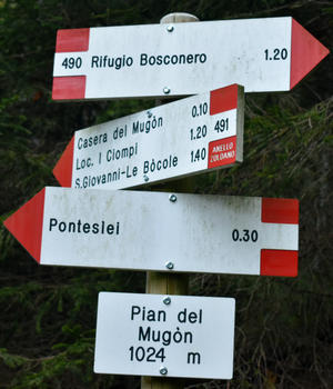 Val di Zoldo - sentiero rifugio Casera Bosconero