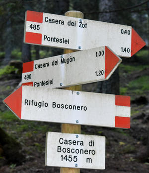 Val di Zoldo - sentiero rifugio Casera Bosconero