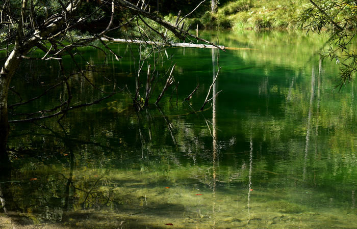 Val di Zoldo - sentiero salita al rifugio Casera Bosconero dal lago di Pontesei