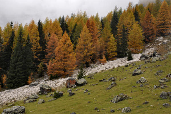 rifugio O.Falier all'Ombretta, Marmolada Dolomiti