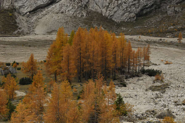 rifugio O.Falier all'Ombretta, Marmolada Dolomiti