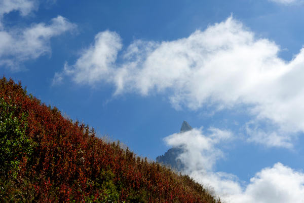 Trekking del Cristo Pensante, passo Rolle