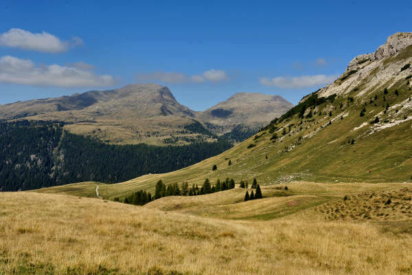 Trekking del Cristo Pensante, passo Rolle