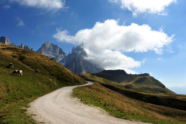 Trekking del Cristo Pensante, passo Rolle