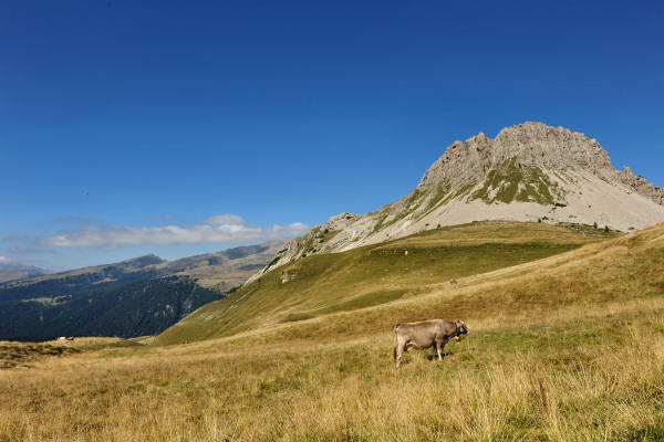 Trekking del Cristo Pensante, passo Rolle