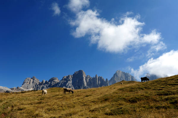 Trekking del Cristo Pensante, passo Rolle