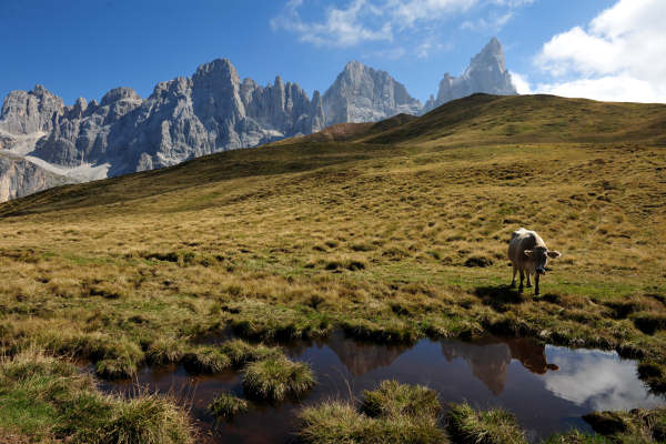 Trekking del Cristo Pensante, passo Rolle