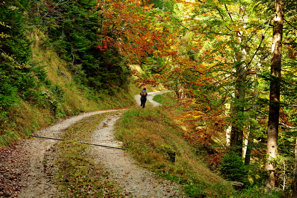 Dolomiti, Pale di San Martino, Val Pradidali