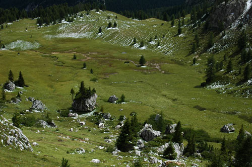 prati alle Cinque Torri - Cortina d'Ampezzo, Dolomiti