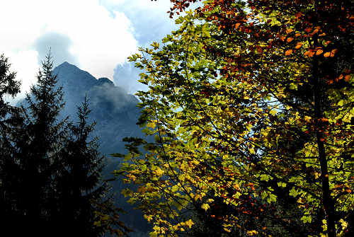 Col di Pra, Val San Lucano, Taibon Agordino