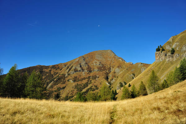 Col di Lana, Sief, Federe - Livinallongo Fodom