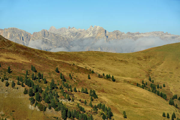 Col di Lana, Sief, Federe - Livinallongo Fodom