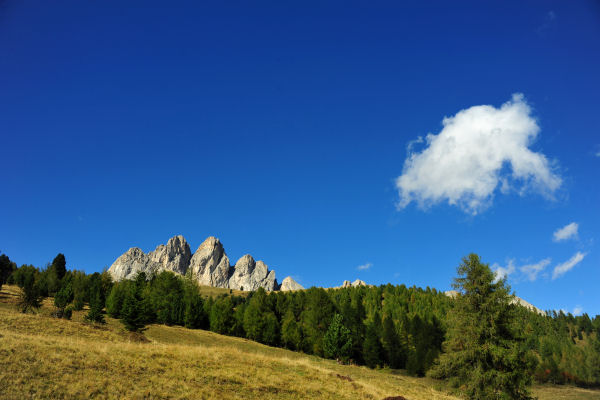Col di Lana, Sief, Federe - Livinallongo Fodom