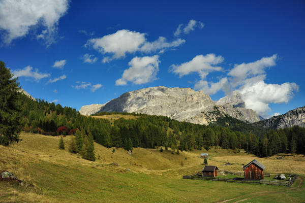 Col di Lana, Sief, Federe - Livinallongo Fodom