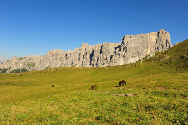 dai pressi del rifugio Nuvolau panorama sulle Dolomiti