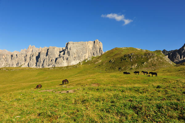 dai pressi del rifugio Nuvolau panorama sulle Dolomiti