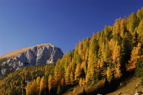 Dolomiti - escursione rifugio Tissi al monte Civetta