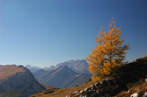 Dolomiti - escursione rifugio Tissi al monte Civetta