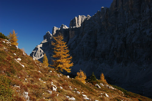 Dolomiti - escursione rifugio Tissi al monte Civetta
