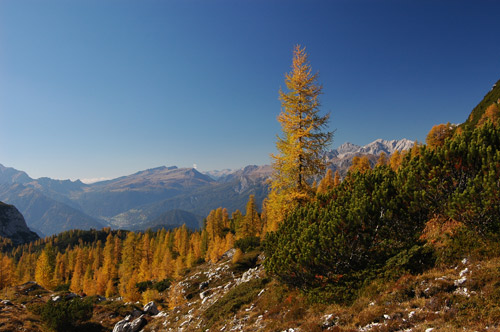 Dolomiti - escursione rifugio Tissi al monte Civetta