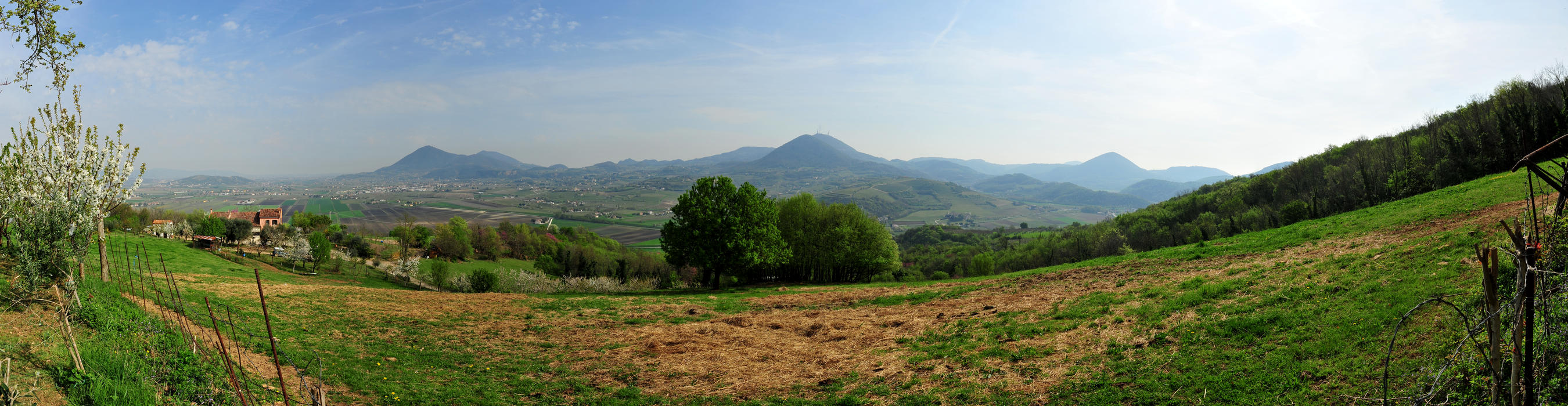 Monte di Lozzo Atestino, Colli Euganei, Padova