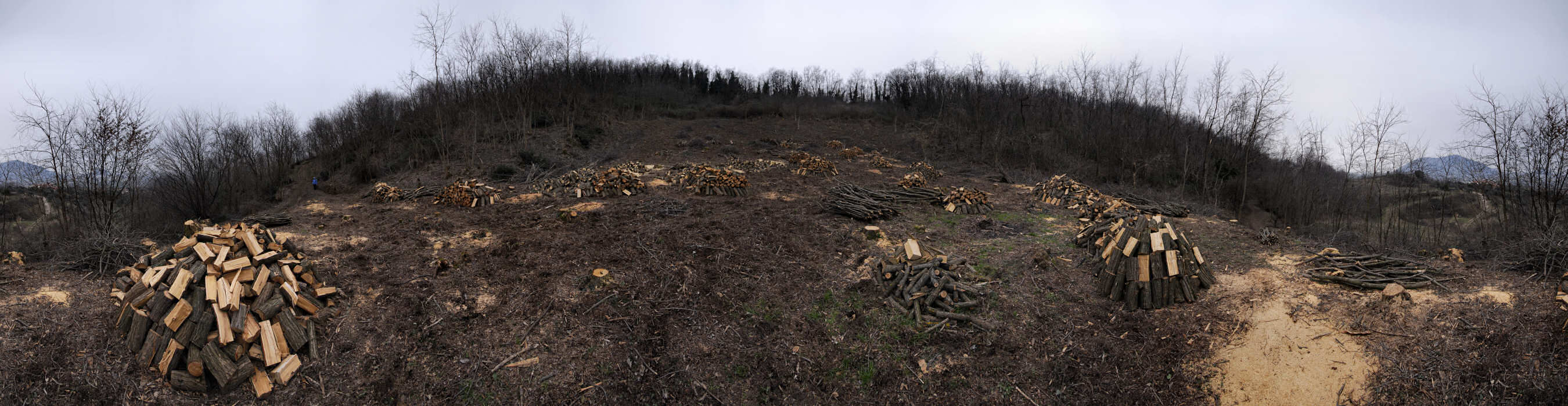 monte Cecilia a Baone, Colli Euganei