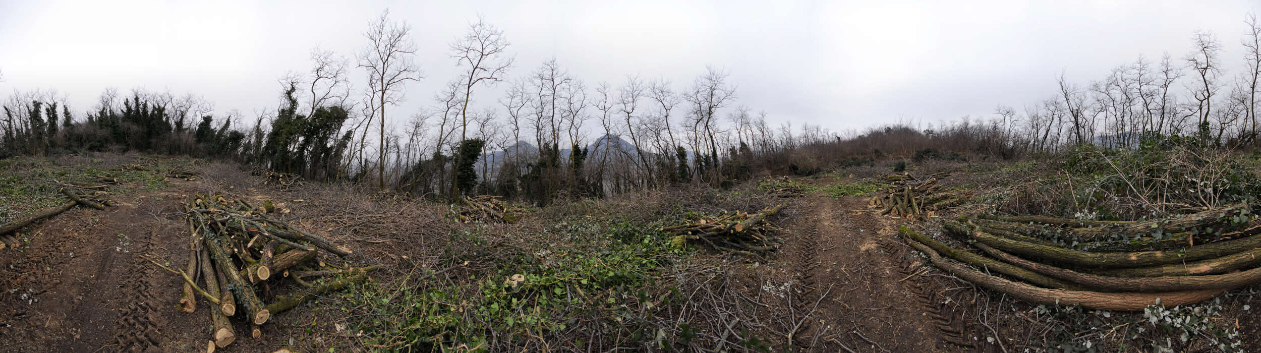 monte Cecilia a Baone, Colli Euganei