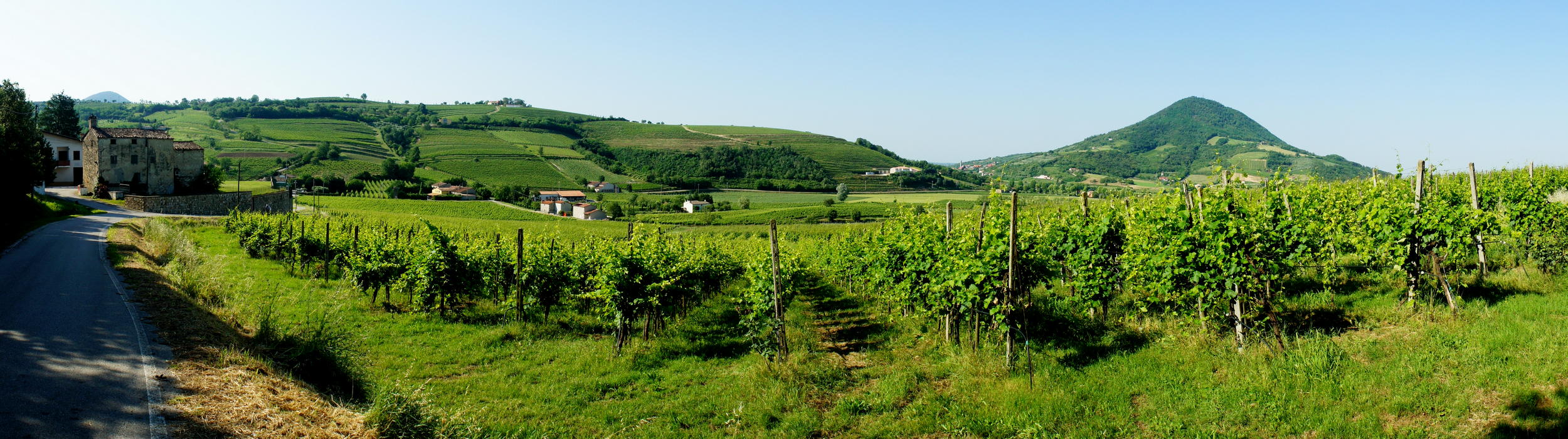 dai pressi di Cortelà di Vò verso il monte di Lozzo