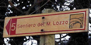 Monte di Lozzo Atestino, Parco Naturale Regionale dei Colli Euganei