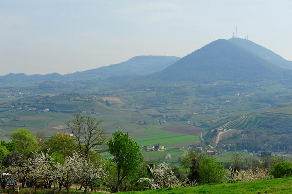 passeggiata Monte di Lozzo Atestino e Castello di Valbona, Colli Euganei